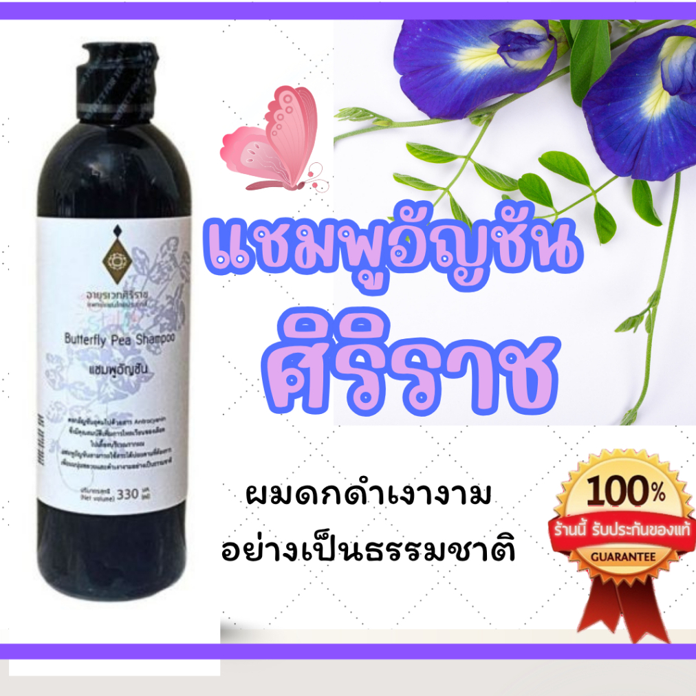 แท้100%  แชมพู​อัญชัน​ศิริราช​ Siriraj Butterfly Pea Shampoo จากอายุรเวทศิริราช บำรุงผมดกดำ​รากผมแข็ง​แรง ขนาด 330 ml.