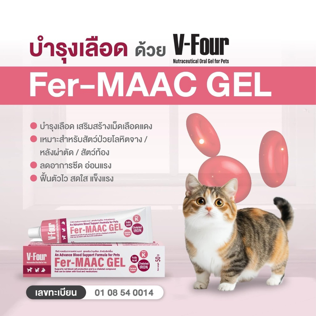 [ ปรับโฉมใหม่ ขนาด 50 กรัม V-Four Nutraceutical Oral Gel for Pets อาหารเสริมรูปแบบเจล ราคา ถูกที่สุด ดีลบีเคเค แกลเลอรีภาพที่ 3