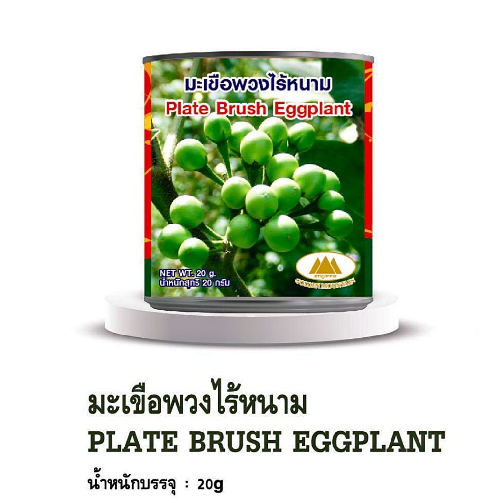 เมล็ดพันธุ์ มะเขือพวงไร้หนาม(20กรัม)มะเขือช่อ มะเขือพวง