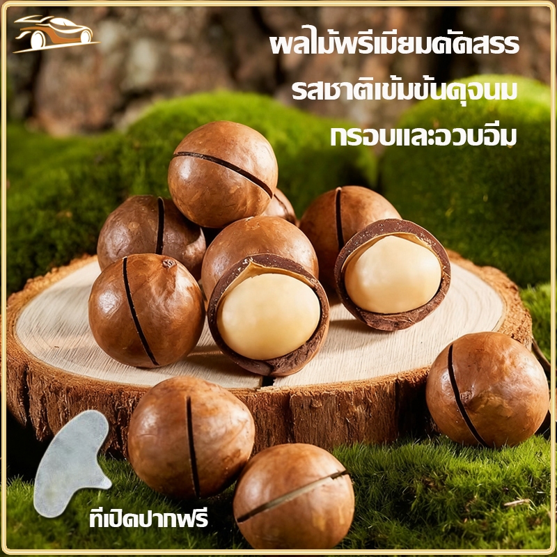 เมคาเดเมีย 200g/400g/500g/1000g แมคคาเดเมีย เม็ดใหญ่ เปลือกบาง เนื้อเยอะ หวานและอร่อย