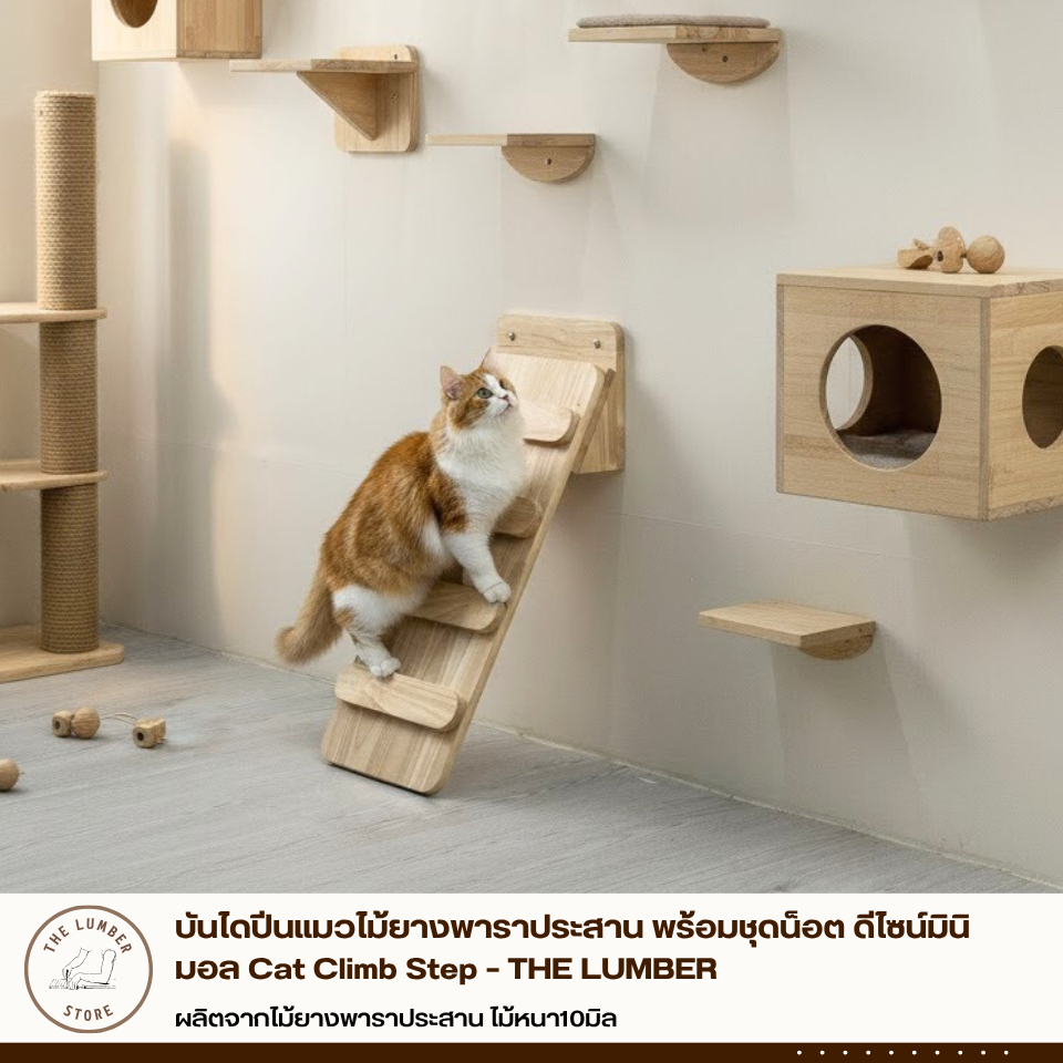 บันไดปีนแมวไม้ยางพาราประสาน พร้อมชุดน็อต ดีไซน์มินิมอล Cat Climb Step THE LUMBER PL1-2050-C-ST-ALL