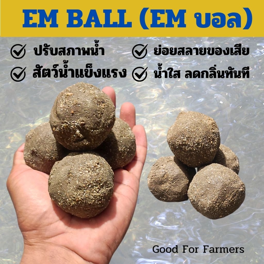 EM บอล อีเอ็ม บอล สำหรับบำบัดน้ำเสีย ลดกลิ่น ช่วยให้น้ำใส 5 -10 ลูก ละลายช้า