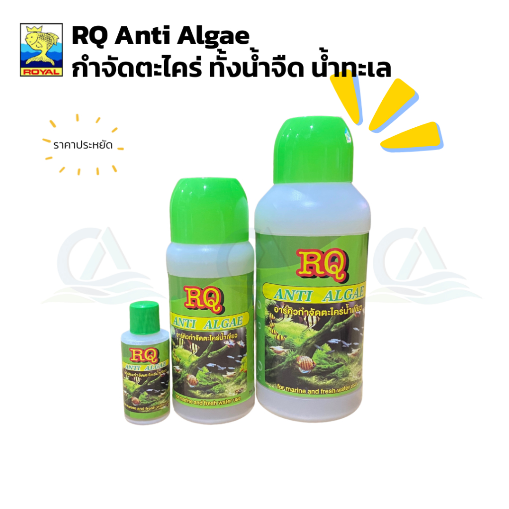 MS Royal RQ Anti Algae น้ำยากำจัดตะไคร่น้ำเขียว ใช้ได้ทั้งตู้ปลาและบ่อปลา