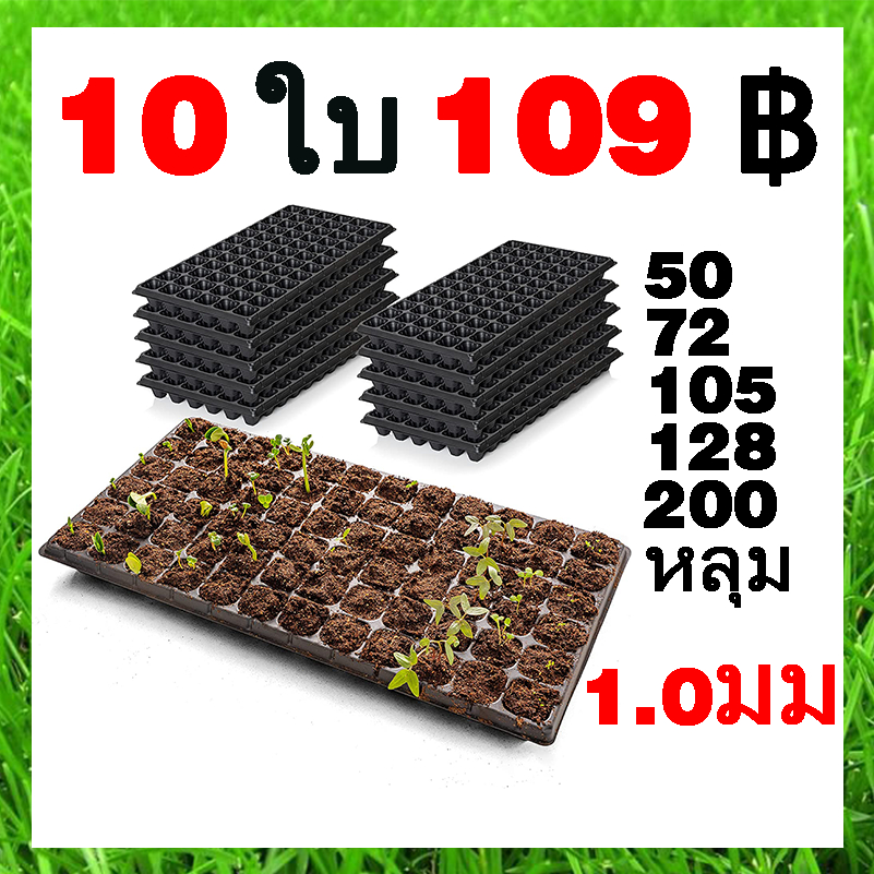 *สต็อกสำเร็จรูป* ถาดเพาะกล้า 1.0 มม ถาดเพาะชำ 10ใบ-20ใบ ถาดเพาะเมล็ด 72/105/128/200 หลุม ถาดเพาะกล้า