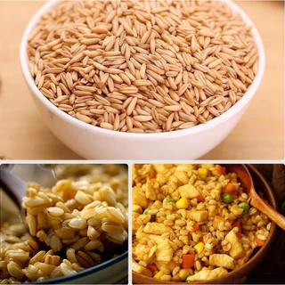 ข้าวโอ๊ตเต็มเมล็ดแบบหุง PURE ORGANIC | Whole Oat Groats ออร์แกนิค 100% ไฟเบอร์สูง โปรตีนจากพืช สุขภาพดีทุกวัน