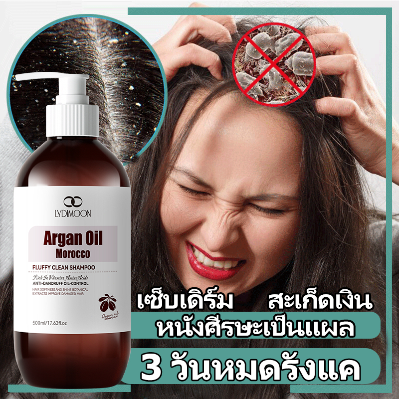 แชมพูแก้คัน ยาสระผมขจัดรังแค แชมพูรังแค 500ml ขจัดรังแค แก้คัน กำจัดไร รักษาเซบเดิร์ม ลดผมร่วง แก้รังแค แชมพู ผมมัน