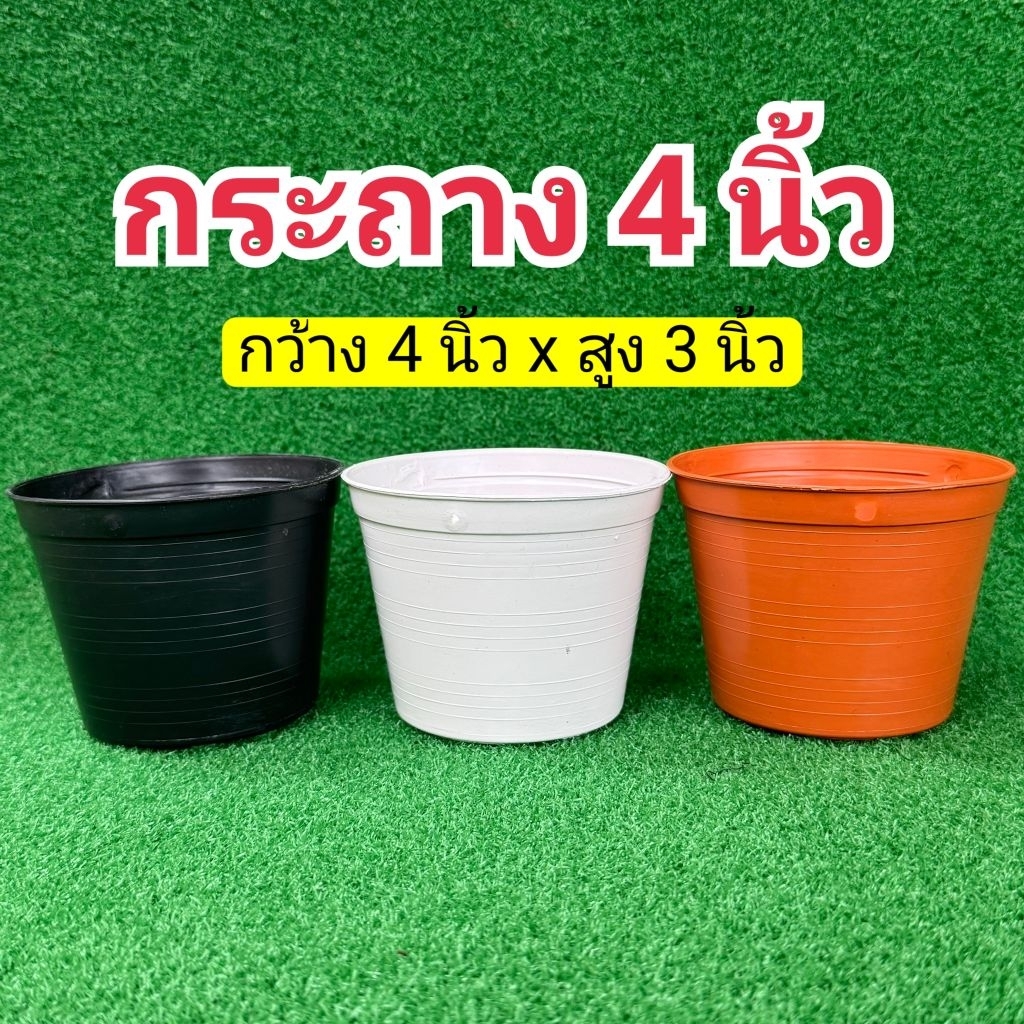 กระถางต้นไม้ กระถางพลาสติกทรงกลม 4 นิ้ว ชุด30ใบ,50ใบ
