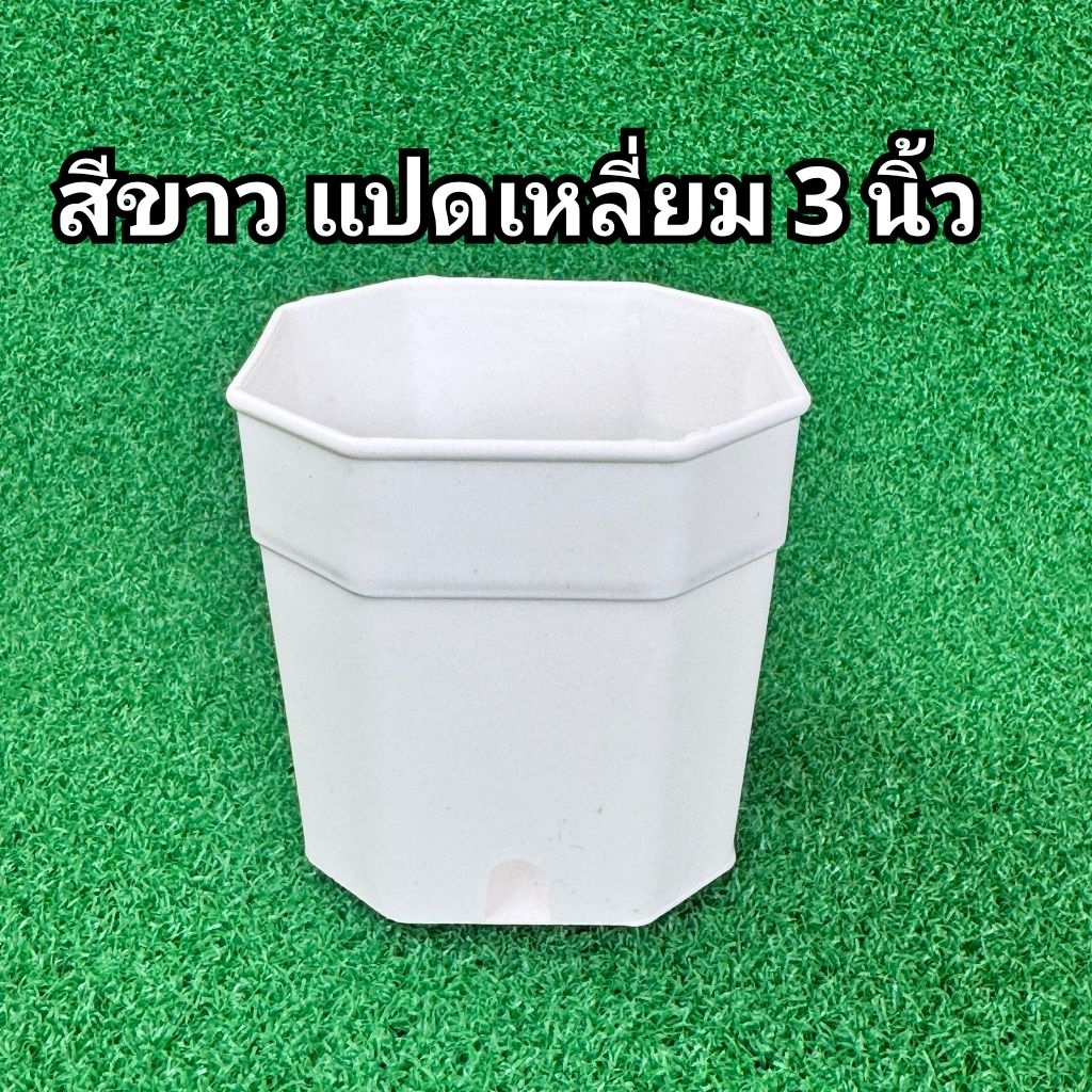 กระถางแคคตัส กระบองเพชร กระถางแปดเหลี่ยม 3 นิ้ว - รูปที่ 2