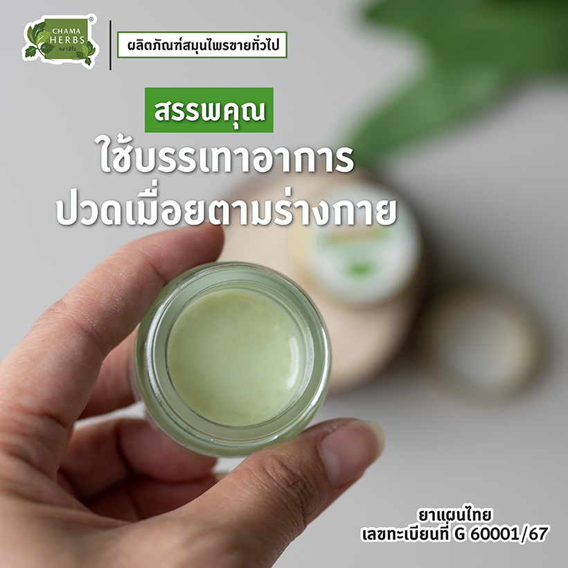 Chama Herbs ยาหม่องบรรเทาอาการปวดเมื่อย 15กรัม (ขวดแก้ว) - รูปที่ 2