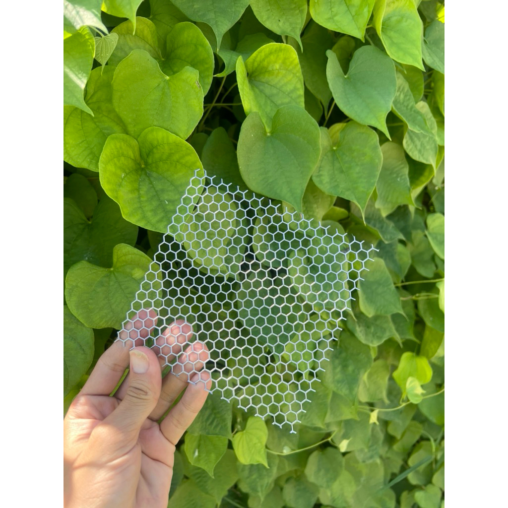 รูปภาพ 3