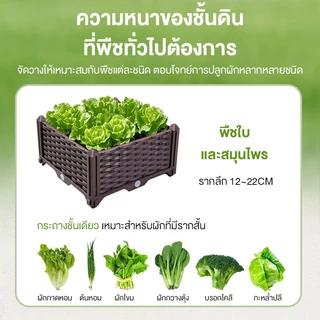 MAYILON กระถางต้นไม้ ปลูกผัก ถาดไดโซะ ปลูกผัก รางปลูกต้นไม้ กระถางราง กระถาง ถาดเพาะ กระบะปลูกผัก ยาว พลาสติกทนแดด
