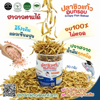 ปลาซิวแก้ว อบ100% ไม่ทอด มีฮาลาล อย. พร้อมรับประทาน ไม่มีน้ำมันทุกชนิด #ปลาซิว #ปลาแก้ว