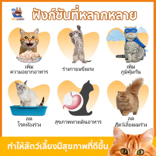 PETLUSCI🌞อกไก่ฟรีซดราย 100%อกไก่เต๋า 640g ฟู้ดเกรด ขนมแมว ฟรีซดรายแมว ไก่ฟรีซดราย ขนมฟรีซดรายแมว
