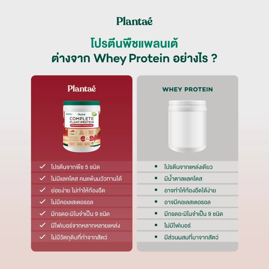 Plantae Complete Plant Protein สูตร Dessert Factory กระปุก 800g โปรตีนจากพืช plant based เพิ่มกล้ามเนื้อ โปรตีนสูง thumbnail 4