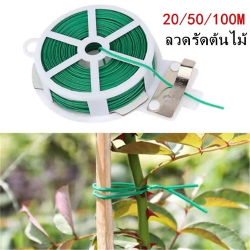 100M/50M ลวดรัดต้นไม้ ลวดดัดกิ่ง ลวดมัดต้นไม้ ลวดหุ้มพลาสติก ลวดอเนกประสงค์ ราคา ถูกที่สุด ดีลบีเคเค แกลเลอรีภาพที่ 6