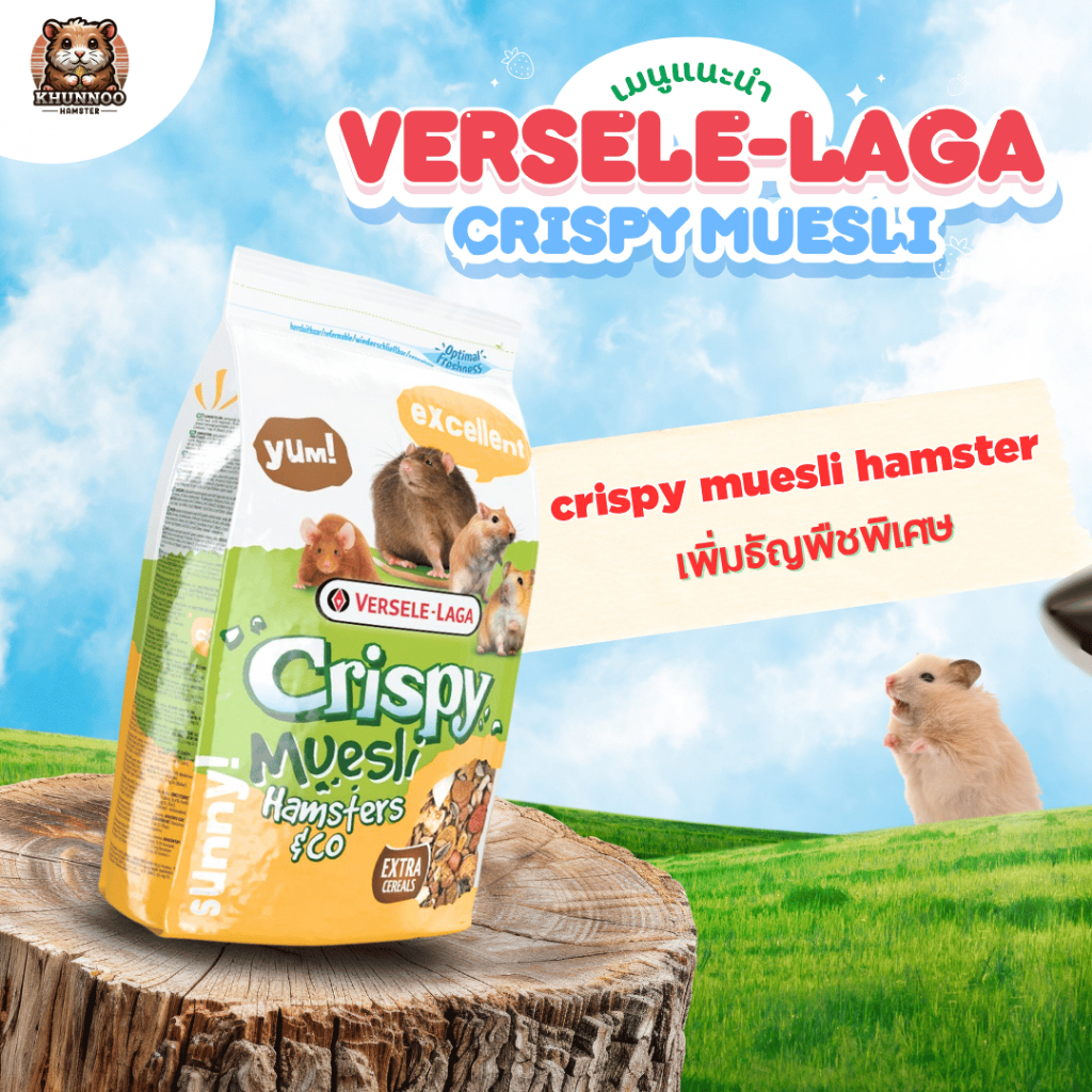 Crispy Muesli Hamster อาหารหนูคริสปี้ อาหารสำหรับหนูเฮมสเตอร์ ทุกสายพันธุ์