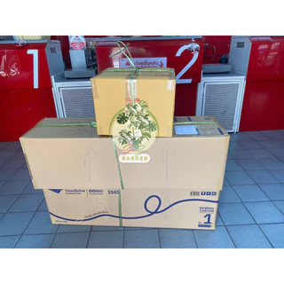 ต้นพันธุ์กล้วยหอมคาเวนดิส (จำนวน 10 ต้น)🌿จากแล็บเพาะเลี้ยงเนื้อเยื่อ ปลอดโรคตายพราย แข็งแรง พร้อมลงดินได้
