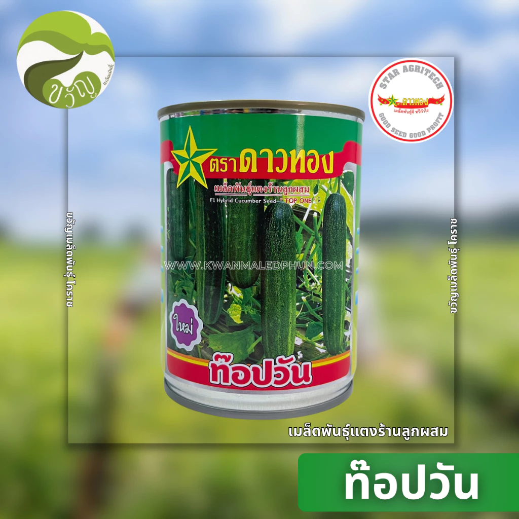 เมล็ดพันธุ์ แตงร้าน ลูกผสม ท๊อปวัน ตราดาวทอง ลอตใหม่