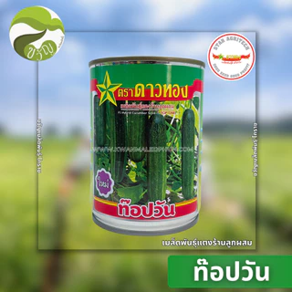เมล็ดพันธุ์ แตงร้าน ลูกผสม ท๊อปวัน ตราดาวทอง ลอตใหม่