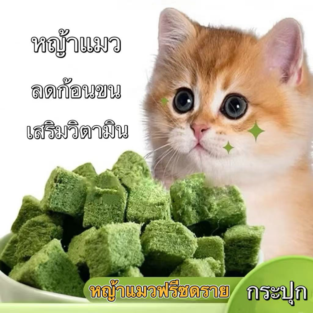 หญ้าแมวฟรีซดราย ขนมแมว Cat Treats ลดก้อนขน เสริมวิตามิน ต้นอ่อนข้าวสาลี อกไก่ผสมหญ้าแมวฟรีซดราย