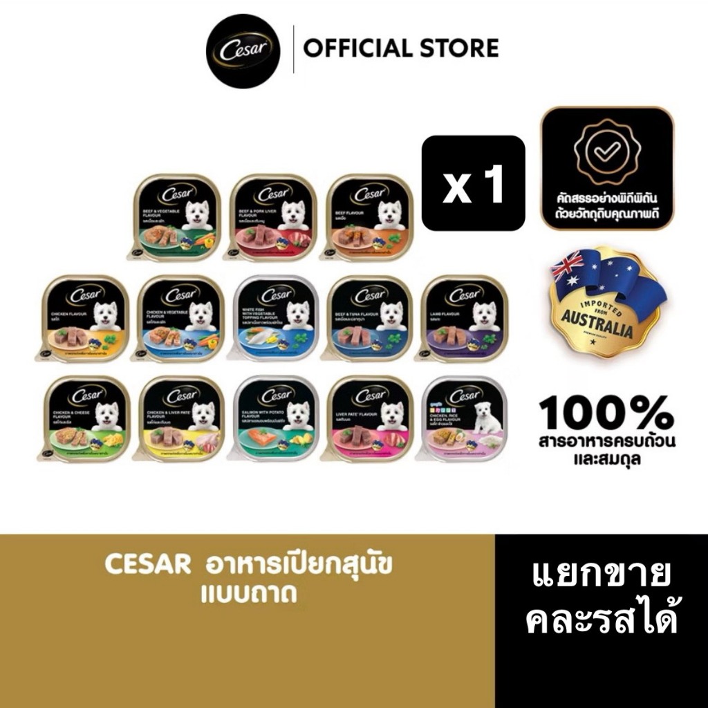 CESAR อาหารเปียกสุนัข แบบถาด ทุกรสชาติ 100 ก.