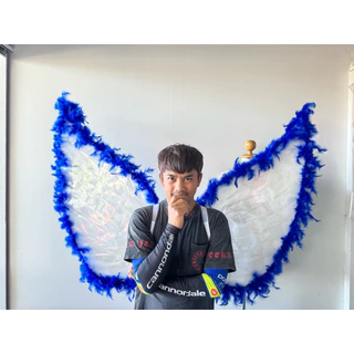 ปีกนางฟ้าใส่ธนบัตร 100 ใบ