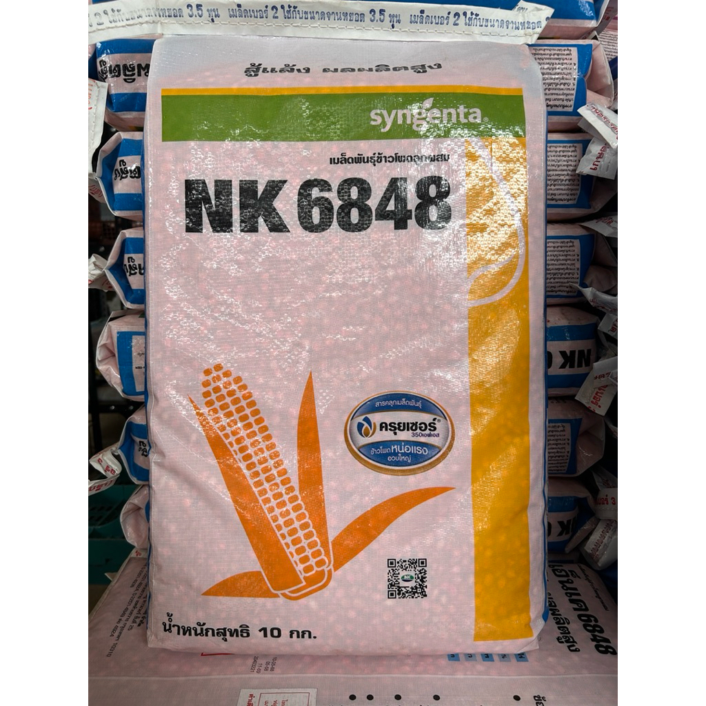 เมล็ดพันธุ์ข้าวโพด NK6848 ขนาด 10 kg อายุเก็บเกี่ยว 110 - 120 วัน เก็บสด ลำต้นแข็งแรง ปลูกถี่ได้