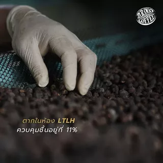 Baramio เมล็ดกาแฟคั่ว รุ่น Kaewma Farm (แก้วมาฟาร์ม) 200 g. (Arabica100%) Tastenote: Ripe fruit, Plum, Winey