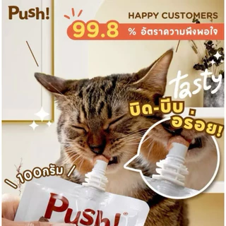 Push ( แบบ 10 ซอง) อาหารเปียกแมว เนื้อมูส Complete & Balanced มี Vitamin เนื้อมูสนุ่ม ซองแบบบีบ ทานง่าย ขนาด 100 กรัม