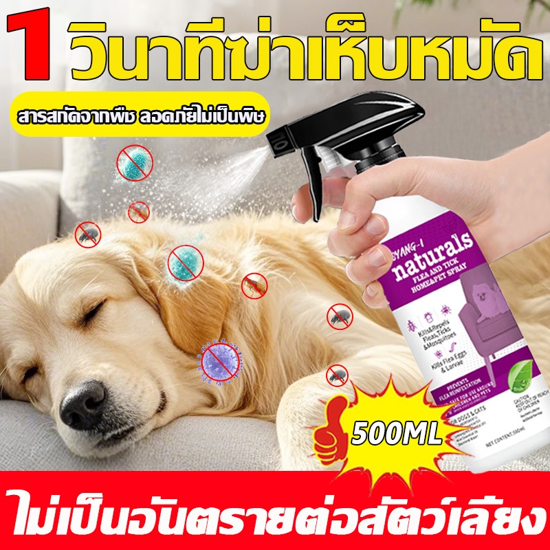 กำจัดเห็บและหมัด 500ml กำจัดหมัดหมา กำจัดหมัดแมว กำจัดเห็บหมัด สูตรพืช ปลอดภัย ไม่ทำร้ายสัตว์เลี้ย