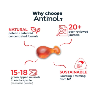 Antinol Cat 60 caps 🔥Exp.2028 อาหารเสริมบำรุงข้อ ลดอักเสบ ลดการบาดเจ็บ สำหรับน้องแมว