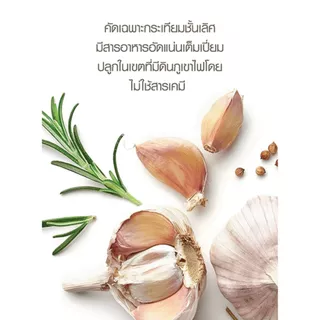 Ze-Oil Gold ขนาด 60 เม็ด ผลิตภัณฑ์เสริมอาหาร สารสกัดจากน้ำมันทั้งหมด 4 ชนิด
