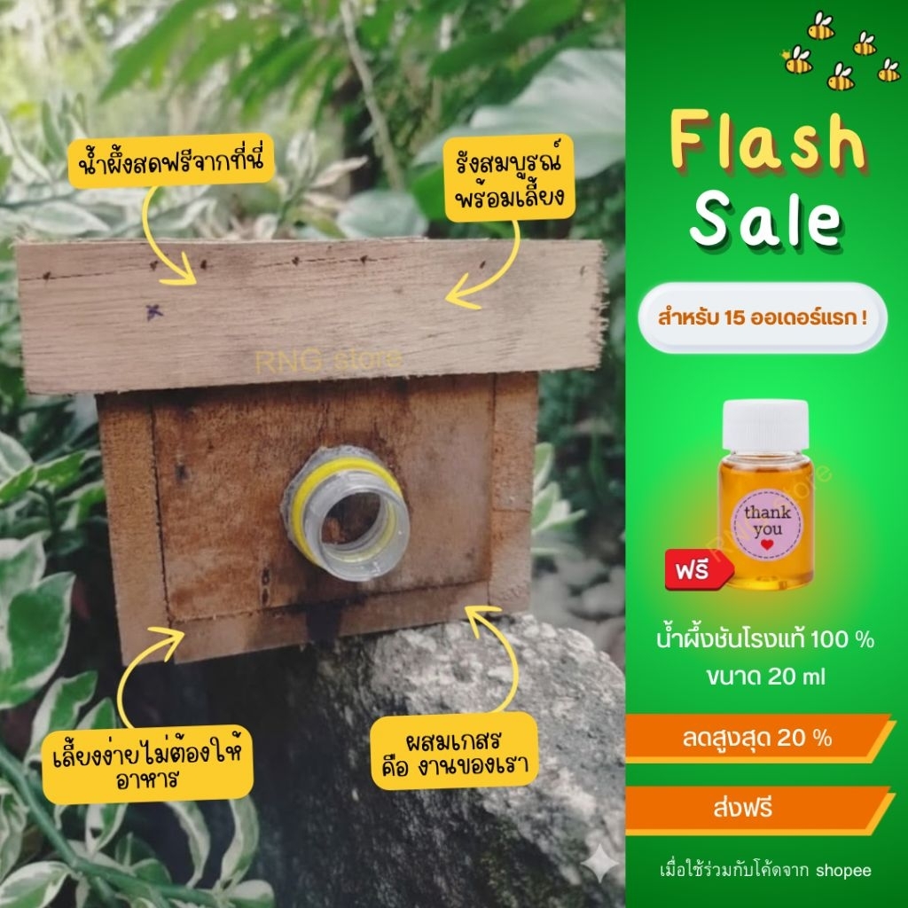 ชันโรงขนเงิน จิ๋วดุ ถ้วยดำรังสมบูรณ์🐝(แถมฟรีน้ำผึ้งขันโรง)