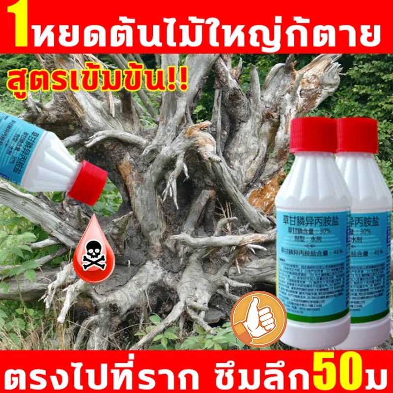 ยาฆ่าต้นไม้ใหญ เข้มข้นสุด 200ml ยาฆ่าตอต้นไม้ ตรงไปที่ราก รากเน่ารากตาย ยาฆ่าตอไม้ใหญ่ บอกลาการตัดต้นไม้ด้วยตนเอง