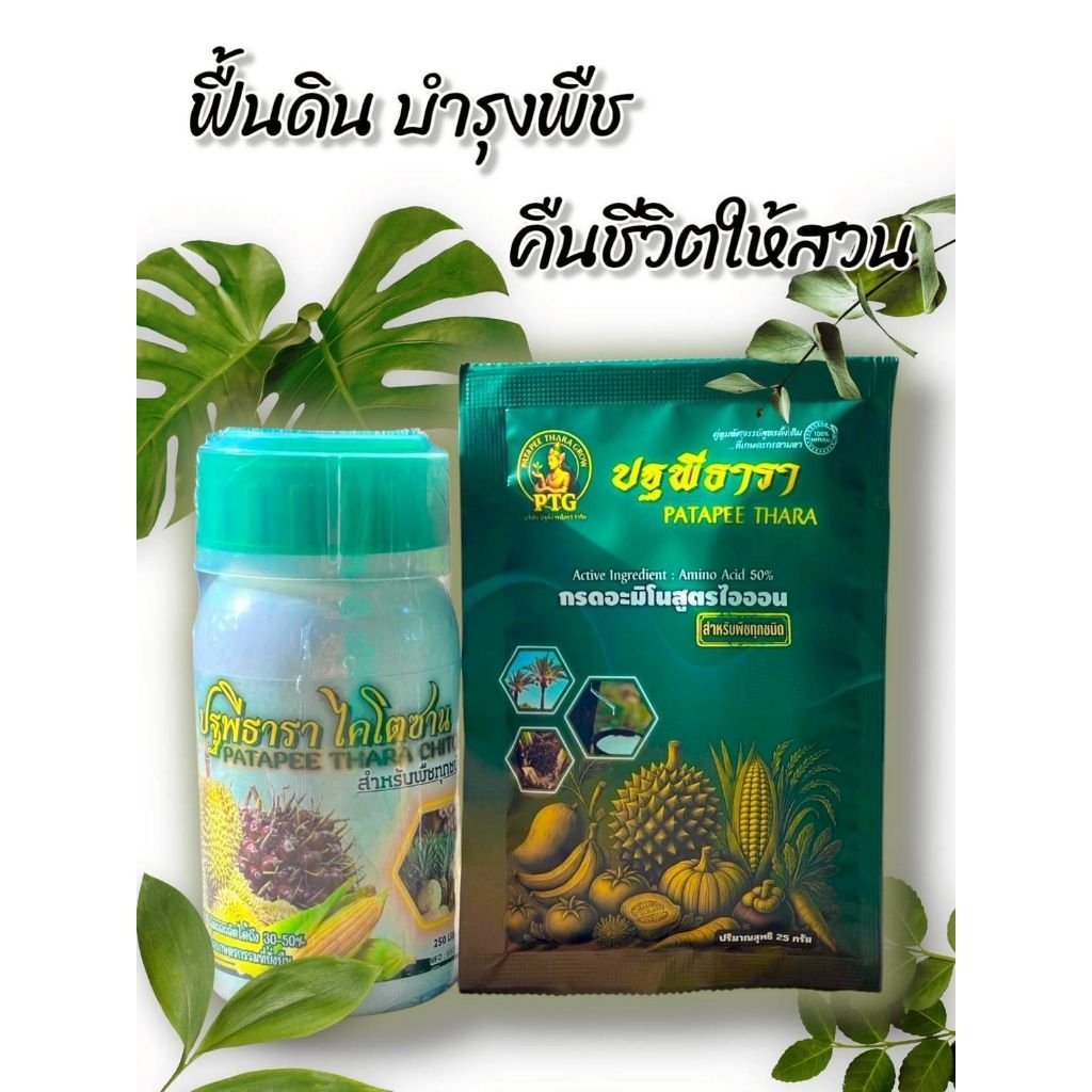 ชุดคู่หูมหัศจรรย์ปฐพีธารา สูตรดั้งเดิม