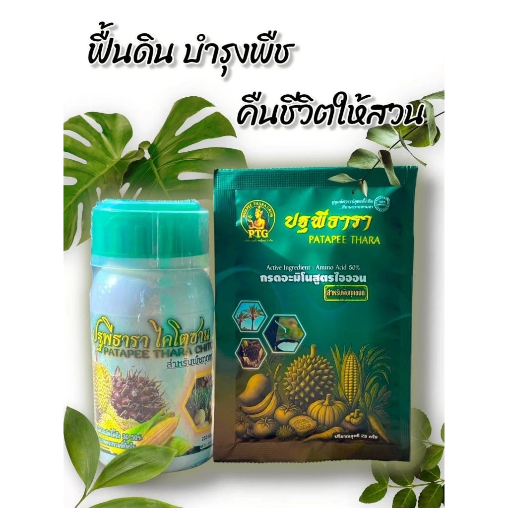 ชุดคู่หูมหัศจรรย์ปฐพีธารา สูตรดั้งเดิม