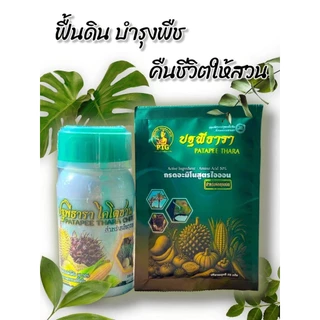 ชุดคู่หูมหัศจรรย์ปฐพีธารา สูตรดั้งเดิม