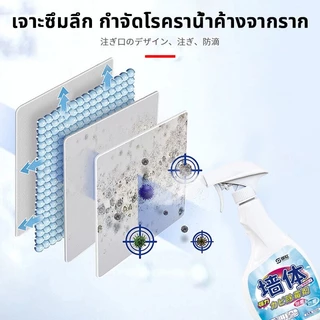สเปรย์กันเชื้อรา สารกันเชื้อรา น้ํายาขจัดคราบผนัง กําจัดแบคทีเรีย กําจัดและป้องกันเชื้อรา