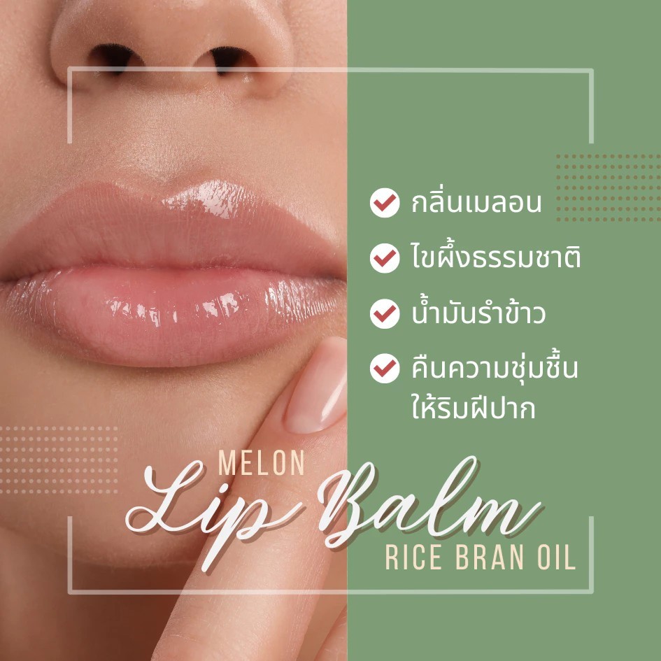 อภัยภูเบศร ไรซ์ บราน ออยล์ ลิปบาล์ม (เมลอน)  1 ชิ้น✅(ผลิตใหม่ล่าสุด)✅ ราคา ถูกที่สุด ดีลบีเคเค แกลเลอรีภาพที่ 4
