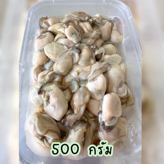 ‼️หอยนางรมสด+ฟรีน้ำจิ้มซีฟู้ด‼️หอยตัวใหญ่🦪 คัดเน้นๆ สดสะอาด พร้อมส่งทั่วไทย🛺