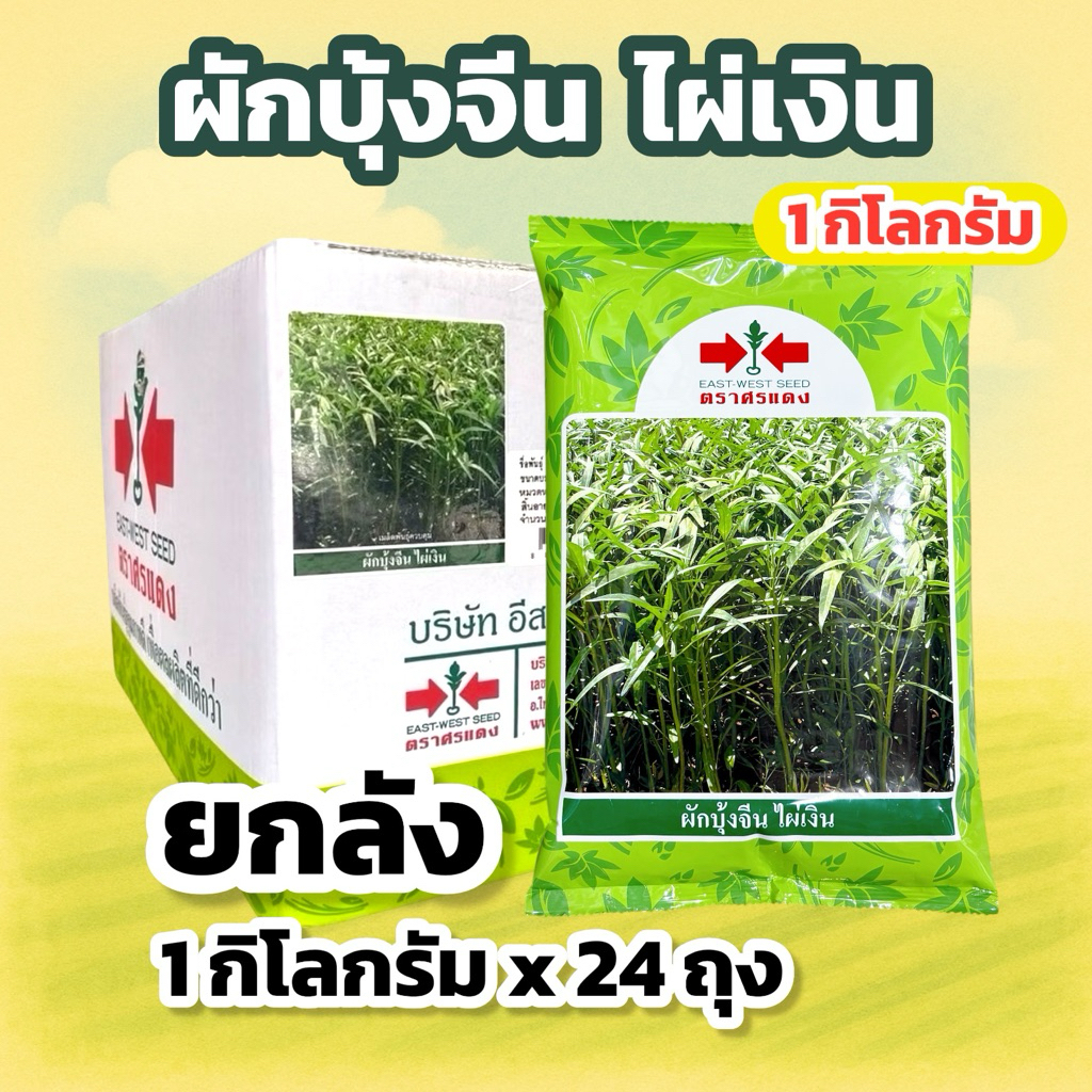ผักบุ้งจีน ไผ่เงิน(1กก) 1ลัง ศรแดง (24ถุง)