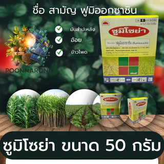 ซูมิโซย่า ยาคุมหญ้าดินแห้ง (50/100กรัม) ฟลูมิออกซาซิน (flumioxozin) 50% WP พูนณรงค์