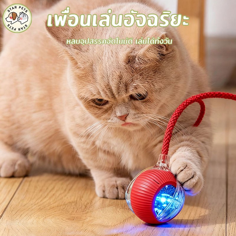 อุปกรณ์เล่นแมวหมาสมาร์ท ไฟฟ้า อัตโนมัติ | ลูกบอลเล่นแมวไล่เบื่อ ไม้จับแมวออกแรง | ลูกบอลหมาไฟฟ้า ตุ๊กตุ๊ก