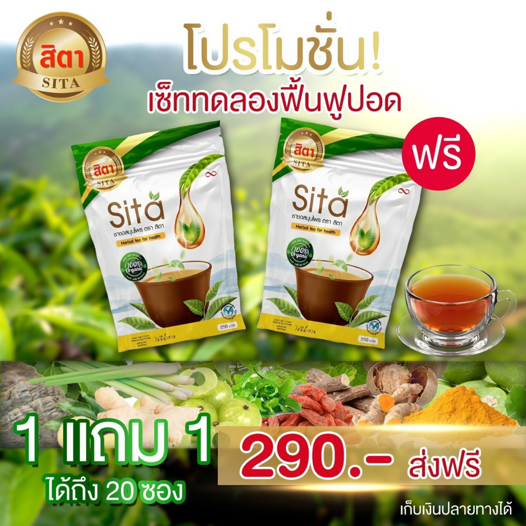 ชาสมุนไพรสิตา ชาบำรุงฟื้นฟูปอด 1 ห่อ มี 10 ซอง (1แถม1)