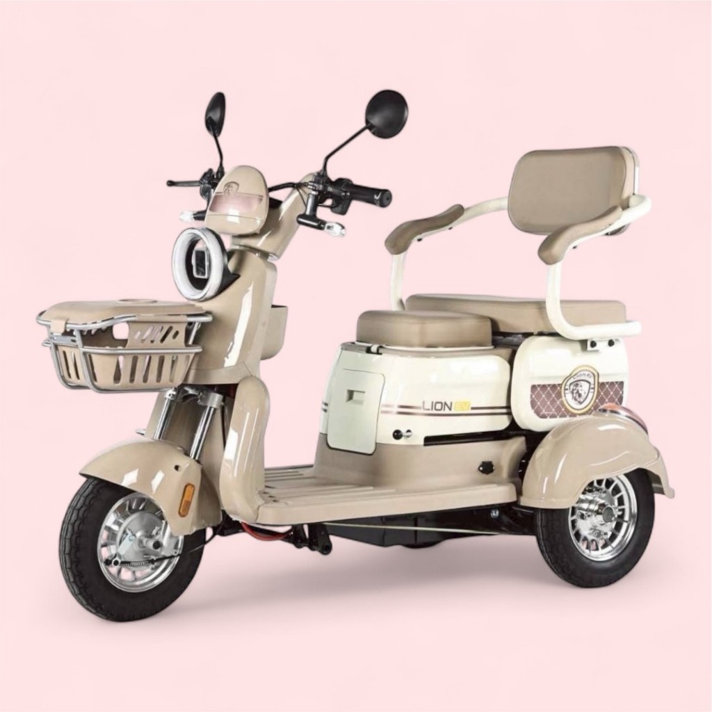 รถสามล้อไฟฟ้า Electric Tricycle ยี่ห้อ Lion รุ่น LNE-6719