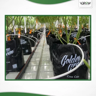 GoldenGreen Coco Coir ขุยมะพร้าวพรีเมี่ยม 100% ขนาด 35 ลิตร มีผลเทสแลปรับรอง สะอาด ไร้สารตกค้าง