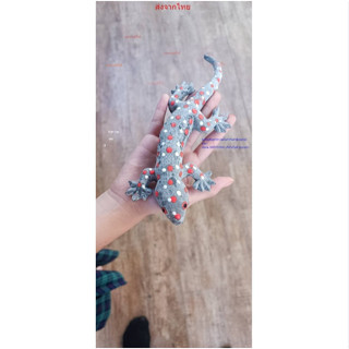 จิ้งจกปลอม ตุ๊กแกปลอม หนูปลอม แมลงสาบ อุนจิ อึ หนอนปลอม ตะขา…