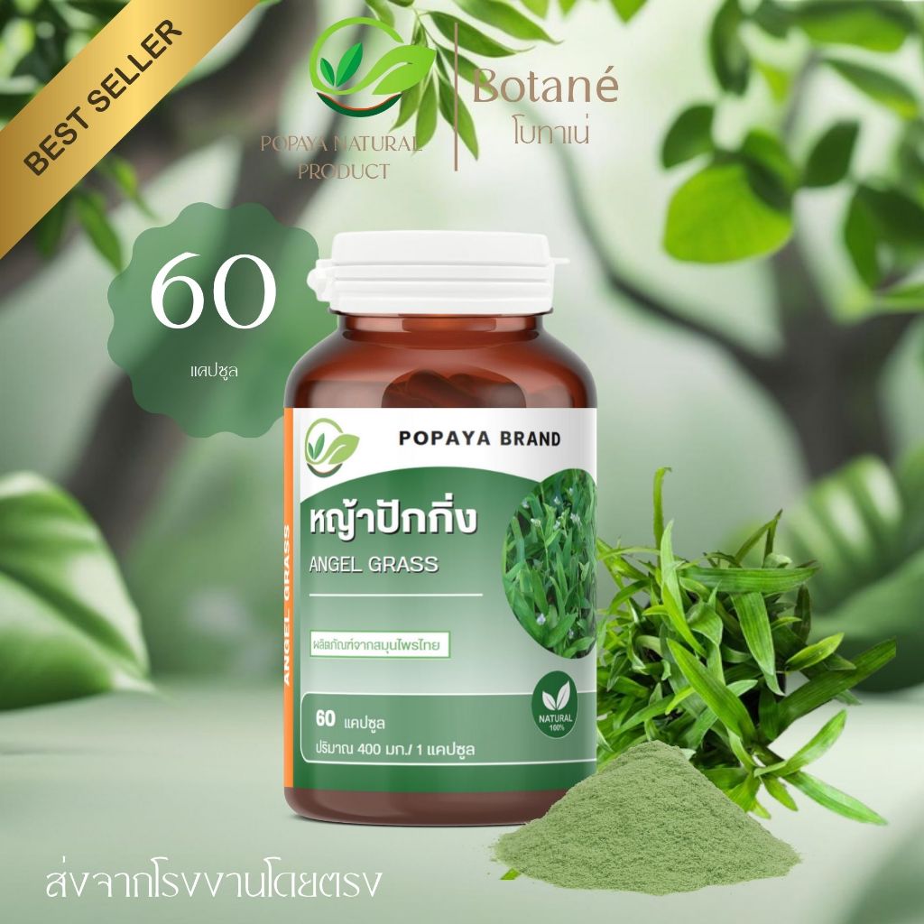 AngelGrass100% ผงหญ้าปักกิ่ง 60 แคปซูล/กระปุก