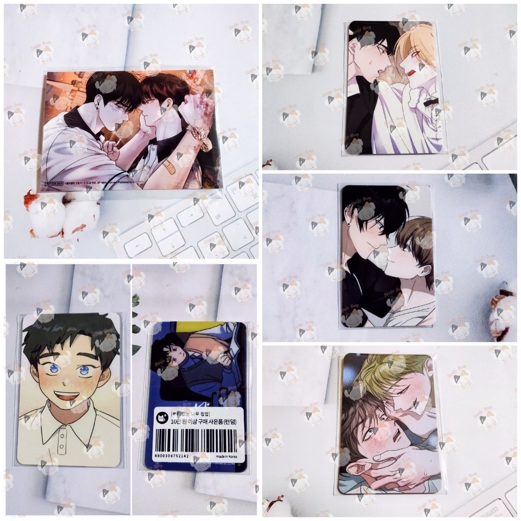 (พร้อมส่ง ส่งจ. พ. ศ.) การ์ดยอด manhwa boomtoon lezhin ต้นไม้ไร้ราก บุปผาแห่งอโลชยา บุปผาเคียงคู่น้ำ