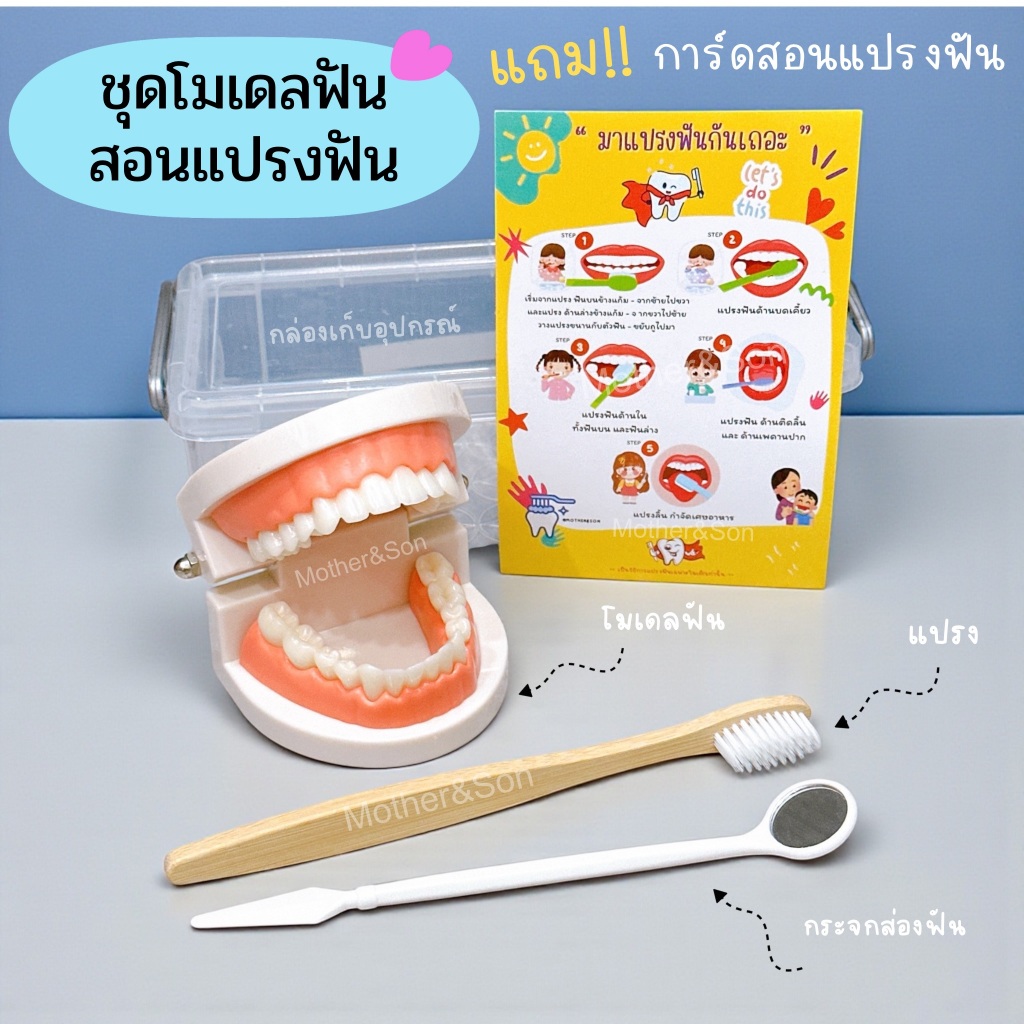 ชุดสอนแปรงฟันโมเดลฟันจำลอง โมเดลฟัน+แปรง+กระจกจรวจฟัน & ของเล่นเตียงเด็กทำฟัน